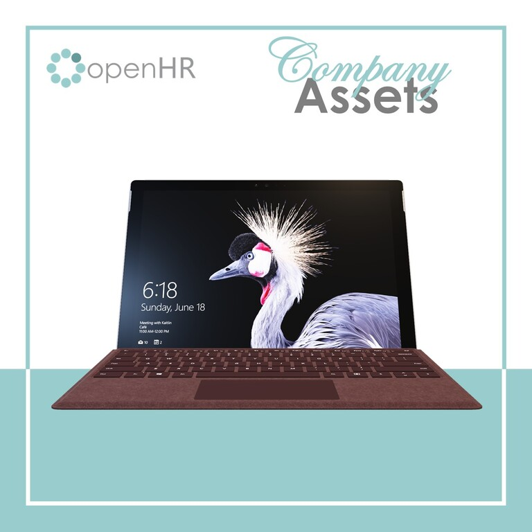 Manage company assets with openHR